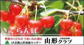 �R�`���n���o�[�O|�R�`�N���u